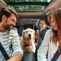 5 Types of Auto Insurance: What You Need to Know